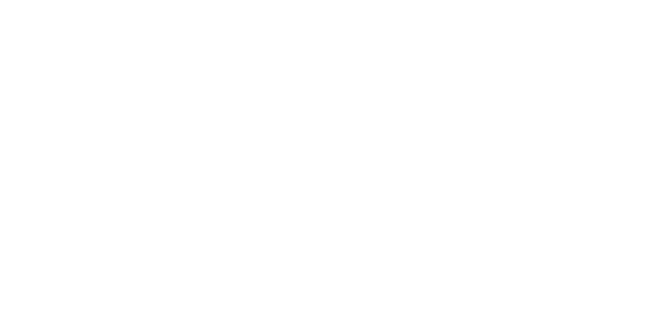 World-Outline-w.png