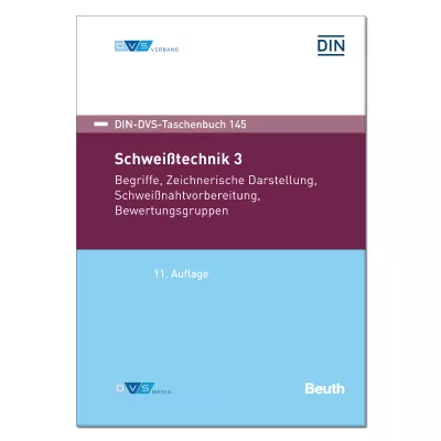 DIN-DVS-Taschenbuch 145 